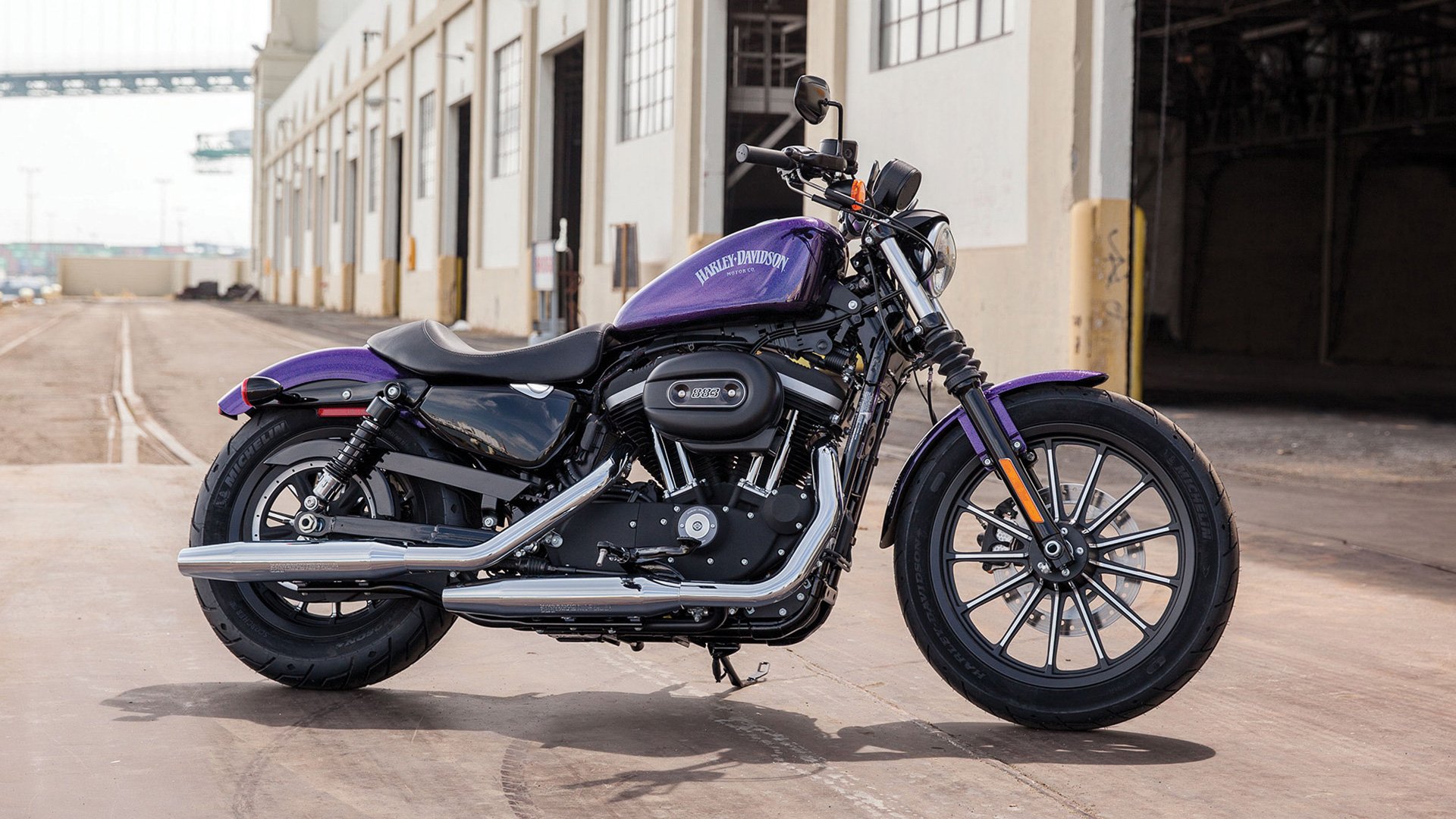 Purple sportster 2024